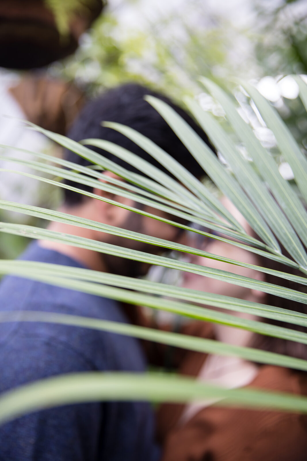 Couple kissing behind a palm frond
